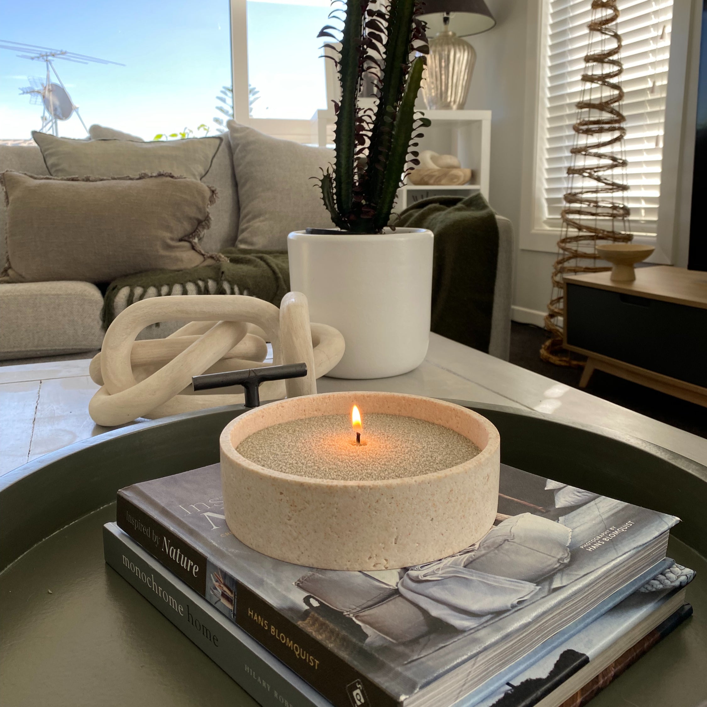 Ceramic bowl in living room filled with sage green sandwax